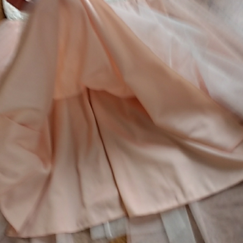 โHPโ๐๐๐ Beautiful Girl's Blush Pink Peach Dress - Picture 4 of 8
